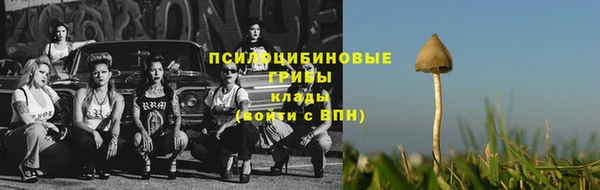 ПСИЛОЦИБИНОВЫЕ ГРИБЫ Нягань