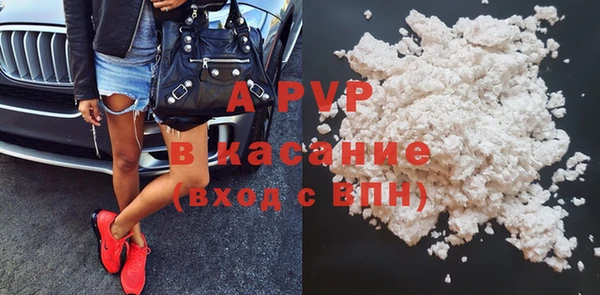 стафф Новодвинск