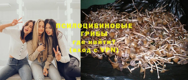 ПСИЛОЦИБИНОВЫЕ ГРИБЫ Нягань