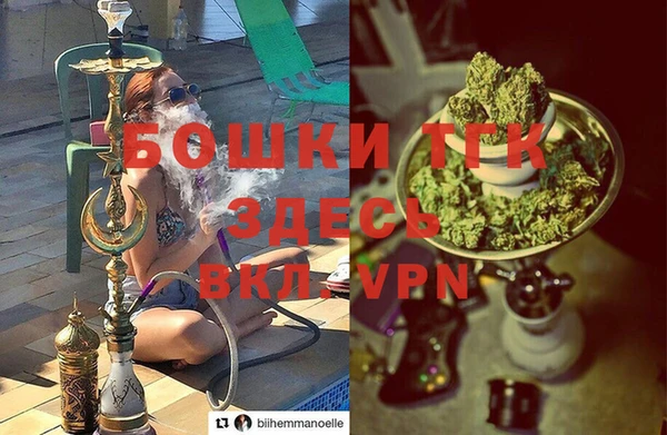 прущая мука Няндома