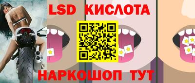 a pvp Гусев