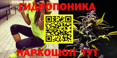 ПСИЛОЦИБИНОВЫЕ ГРИБЫ Гусь-Хрустальный
