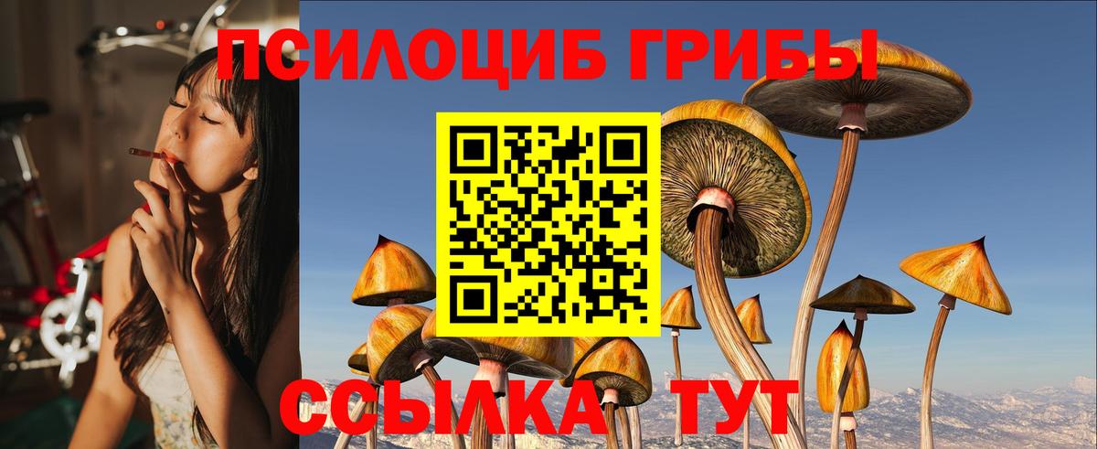 Галлюциногенные грибы мицелий  Ливны 